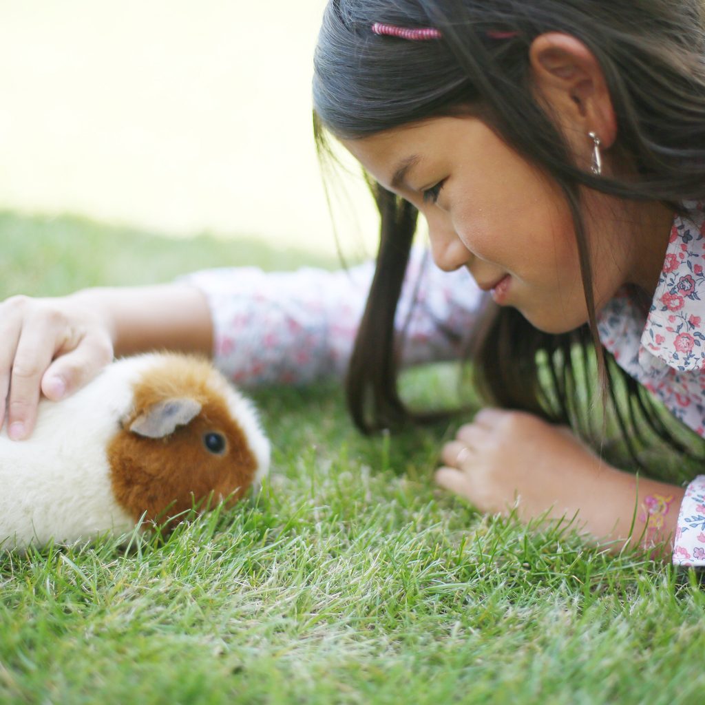 Girl pets her guinea pig in the grass