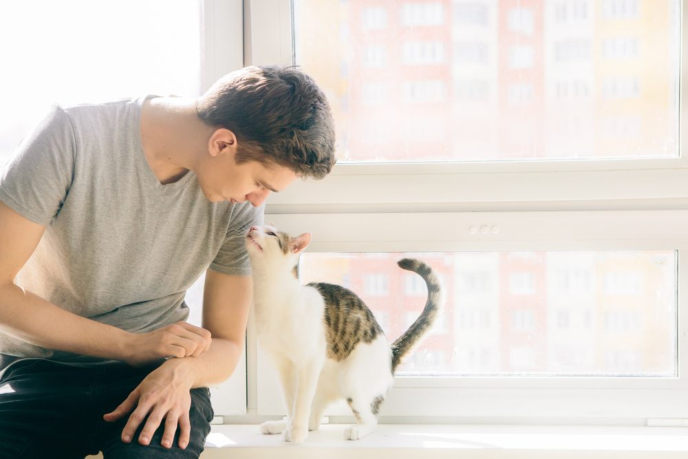 A man and a cat staring at each other.