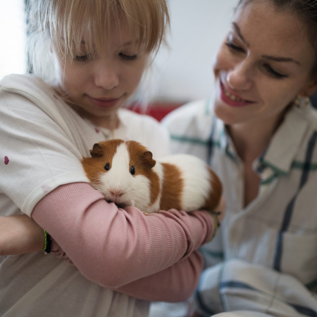 Mom and daughter play with their guinea pig