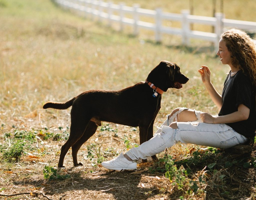 a woman and dog having a training session in the park