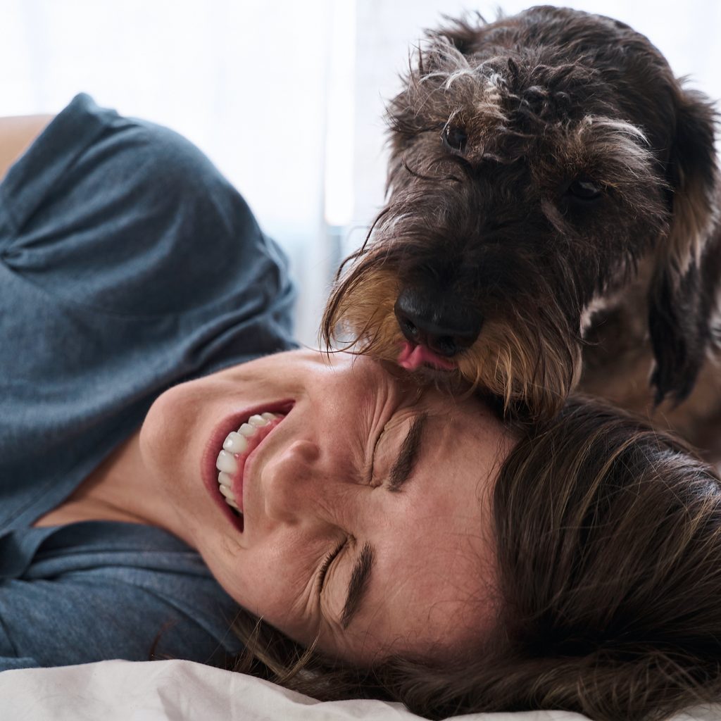 A woman lies down and laughs as a dog licks her face