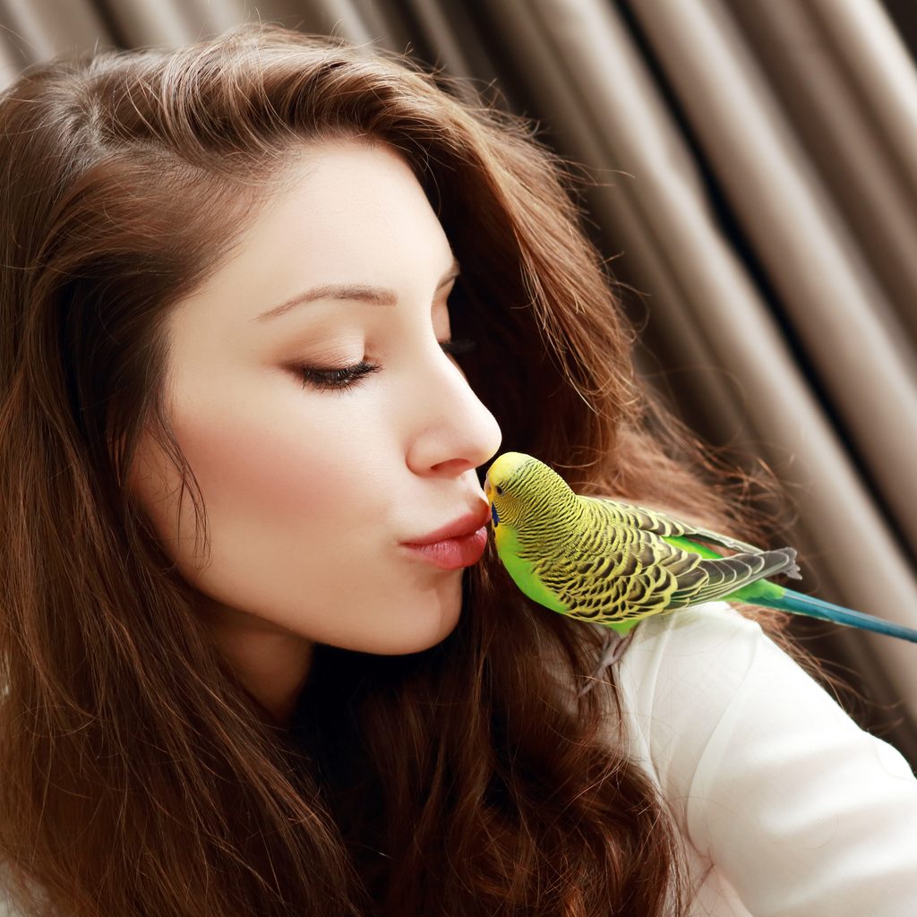 Woman kisses her parakeet sitting on her shoulder