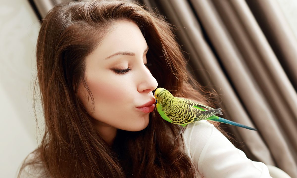 Woman kisses her parakeet sitting on her shoulder
