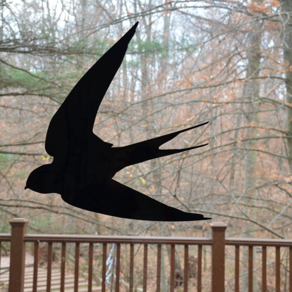 Decal on window to help prevent birds from running into it