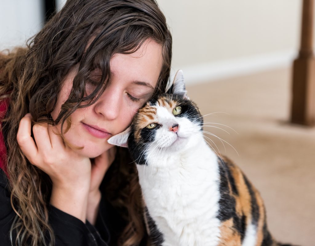 Calico cat rubbing against a woman's cheek