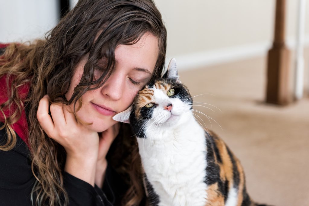 Calico cat rubbing against a woman's cheek