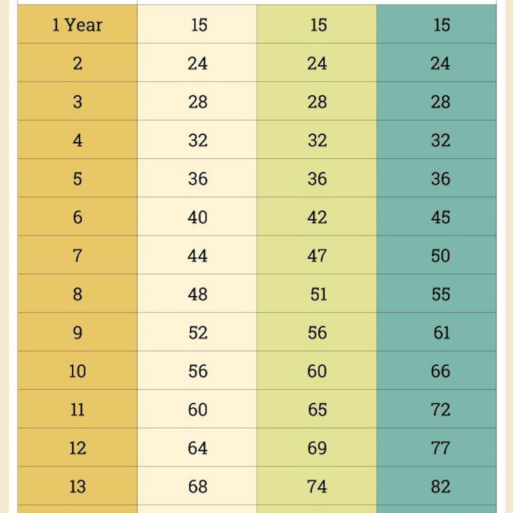 A chart comparing dog ages to human years