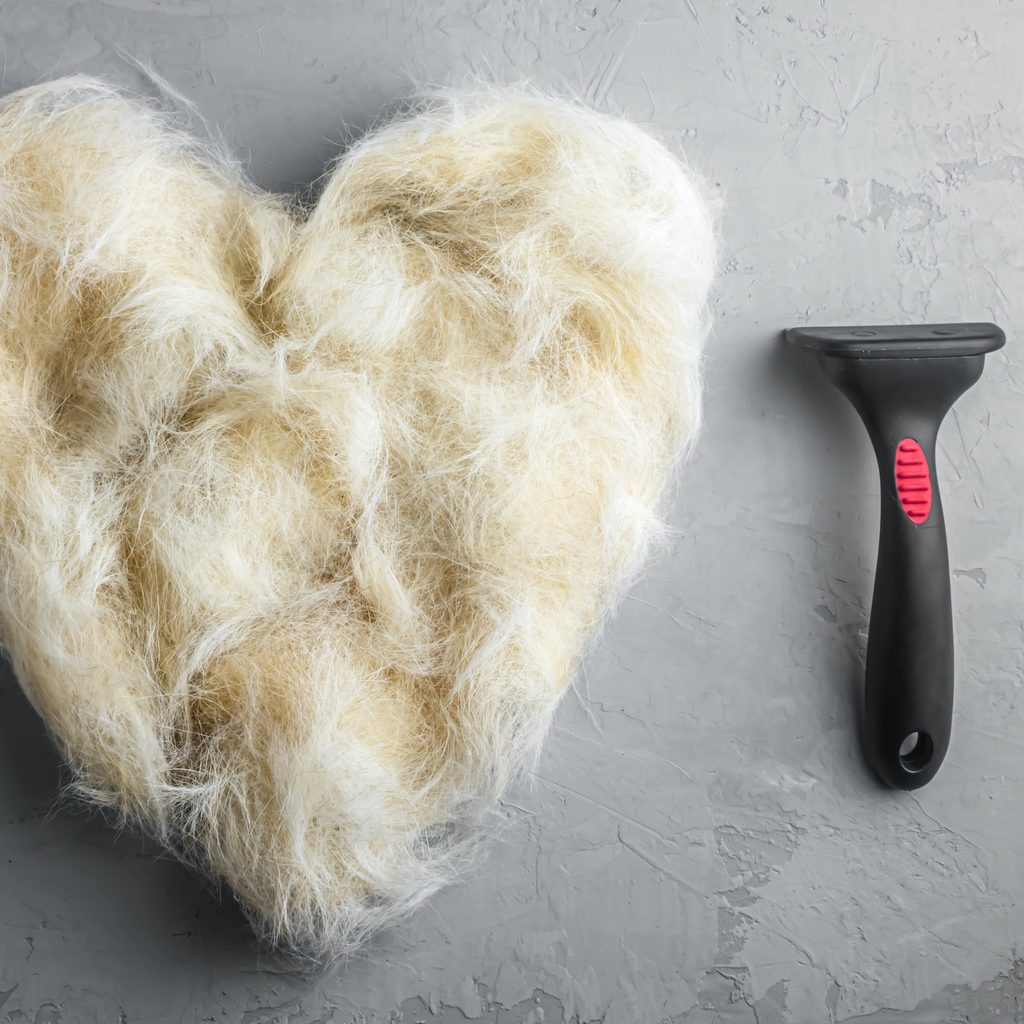 A pile of dog hair shaped into a heart next to a grooming tool