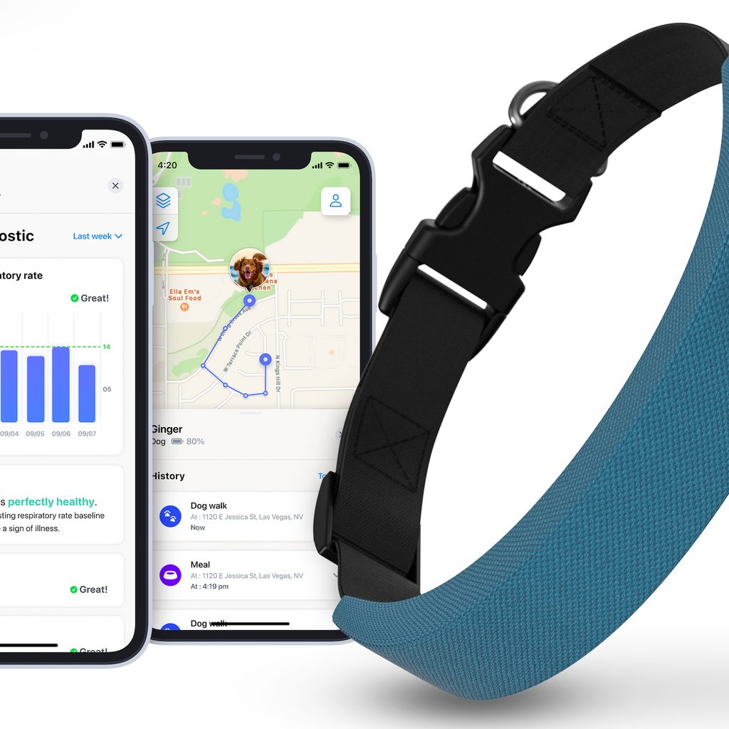 The Invoxia Smart Dog Collar with examples of app pages