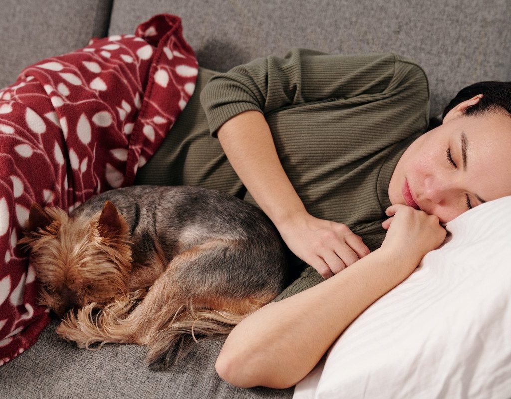 a woman napping on the couch with her Yorkie