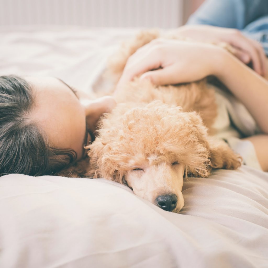 A woman lies in bed hugging her miniature poodle