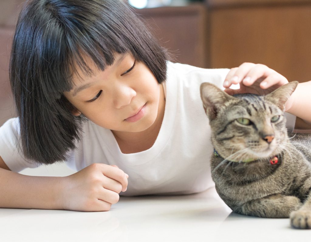 Young girl petting cat.
