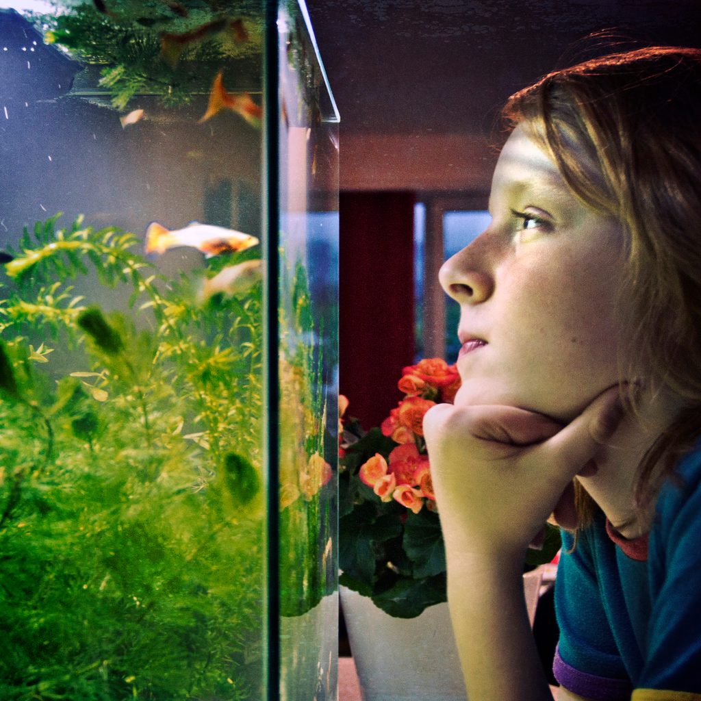 Boy watches his fish tank closely