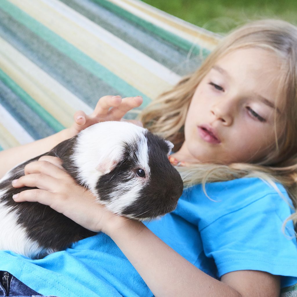 Girl lies in hammock with guinea pig on her lap