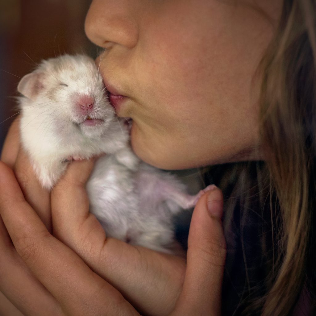 Girl holds her hamster while giving her a kiss