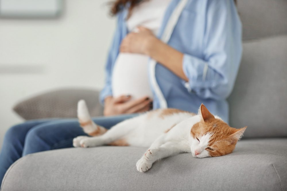 An orange and white cat sprawls on a sofa beside a pregnant woman.