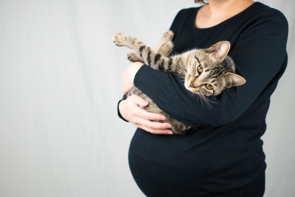 A pregnant woman wearing a long-sleeved black shirt holds a tabby cat in her arms.