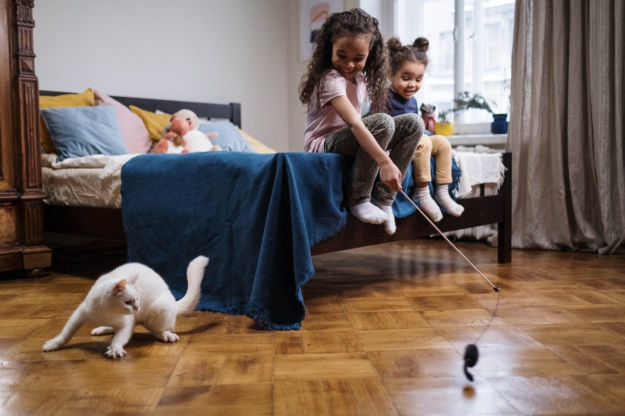 Two young girls playing with a white kitten.