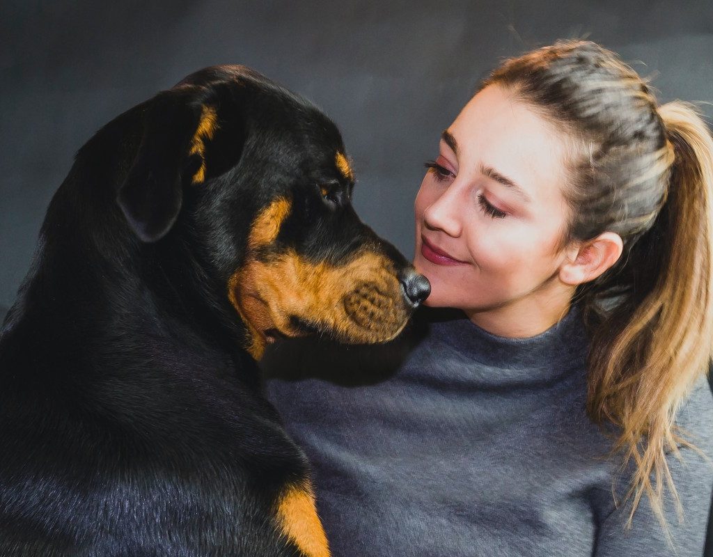 A woman looks at a rottweiler