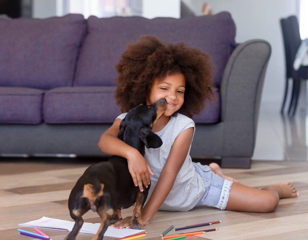 Young girl hugging dachshund.