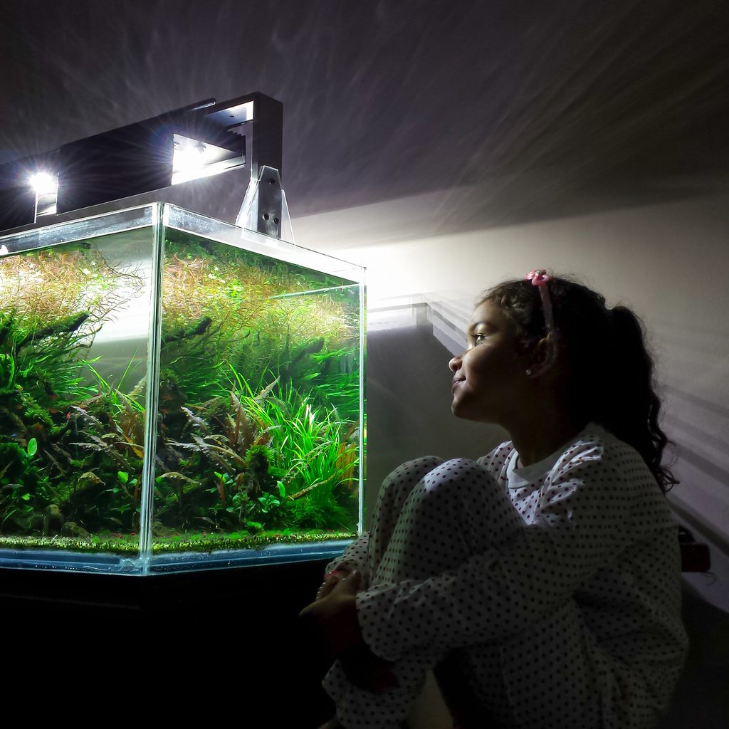 Girl stares wistfully at a lighted aquarium