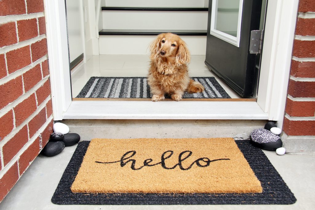 A long haired dachshund sits at the front door by a doormat that says hello