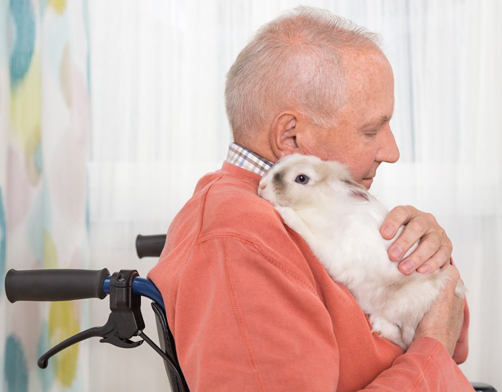 Senior man cuddling a rabbit.