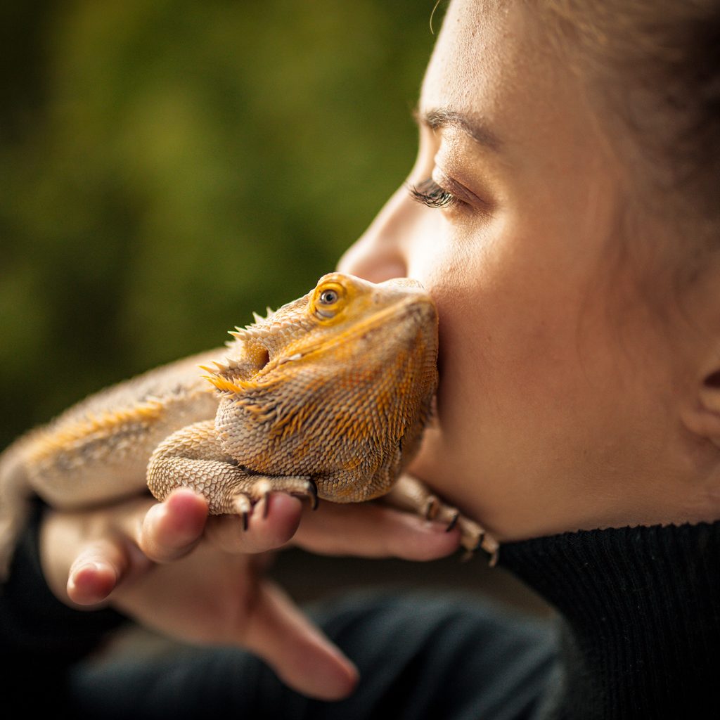 Woman holds her bearded dragon on her shoulder