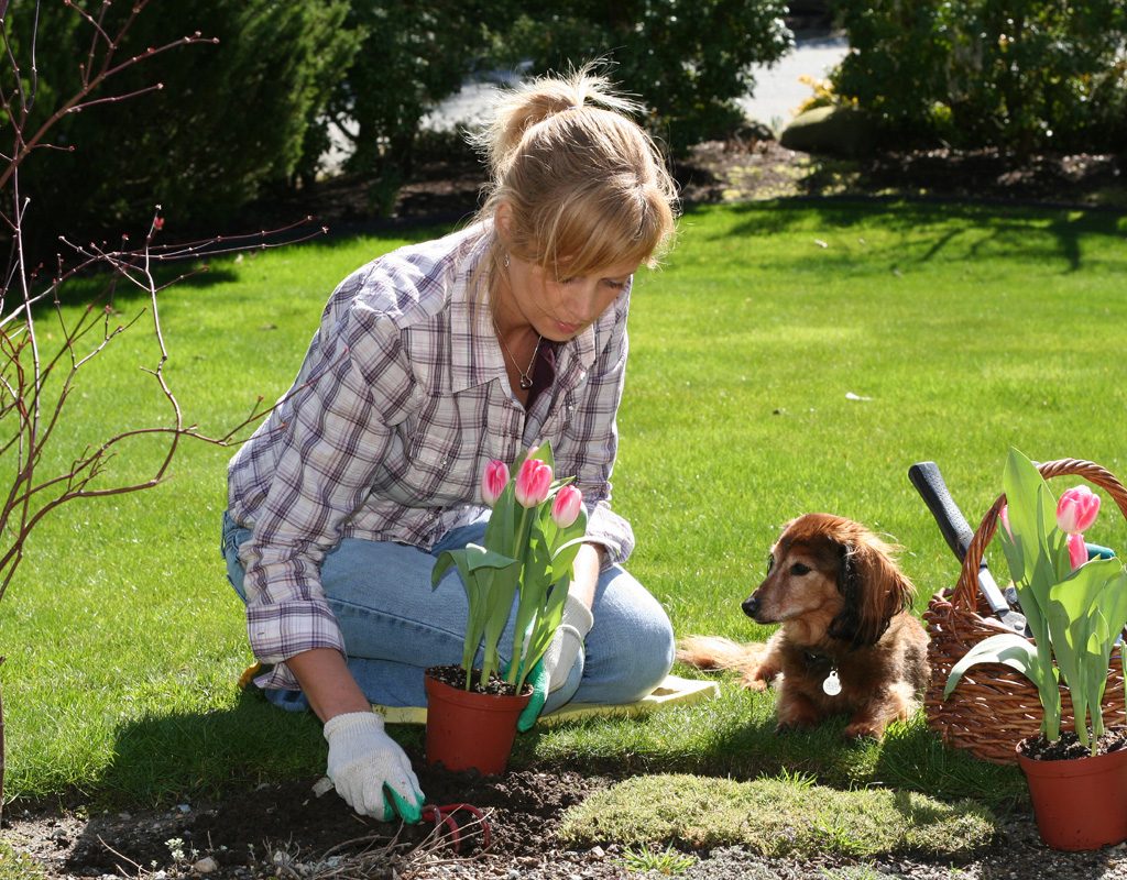 Woman gardening while her dog sits beside her.