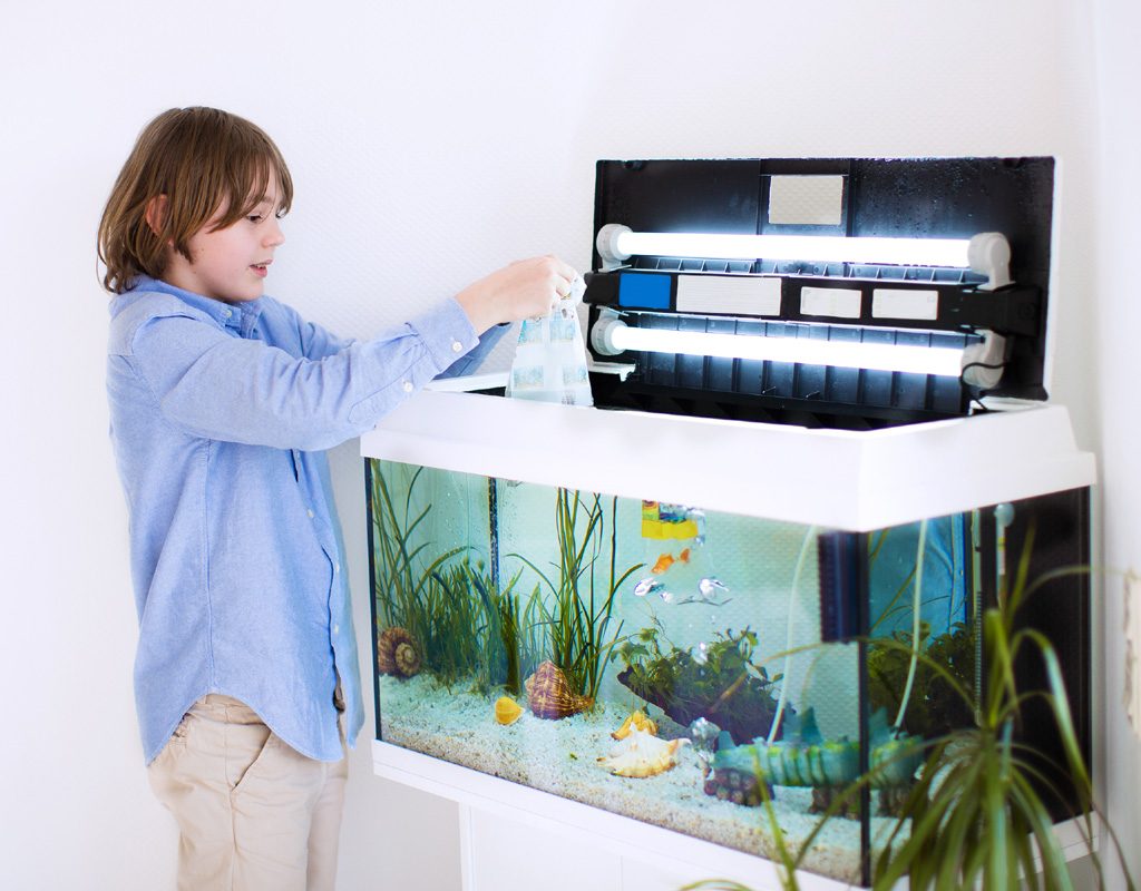 Young boy putting new fish in aquarium.