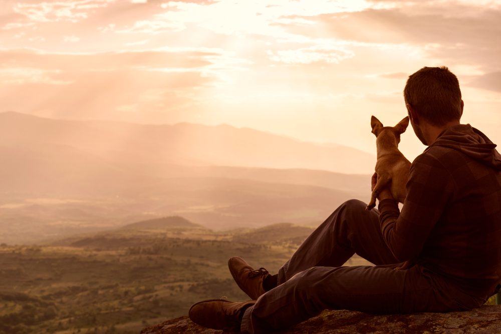 A man holding a chihuahua watches the sunset on top of a mountain.