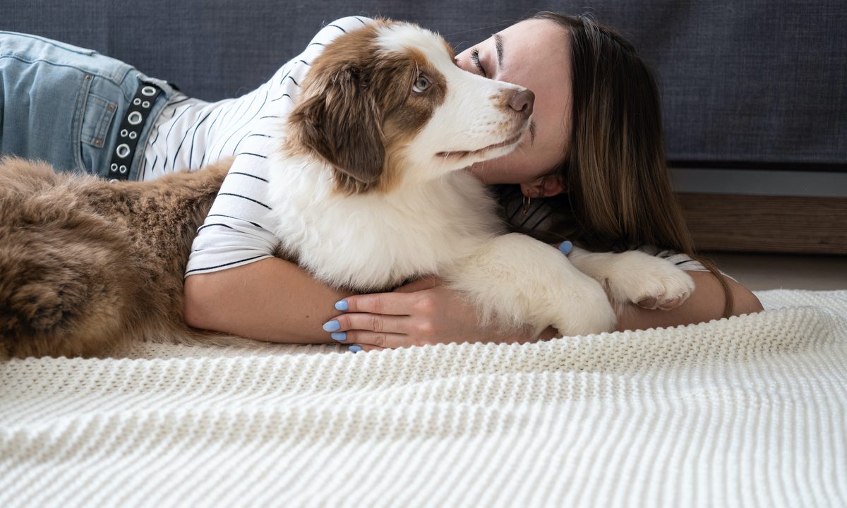 A woman lies on the floor and cuddles a brown and white Australian Shepherd
