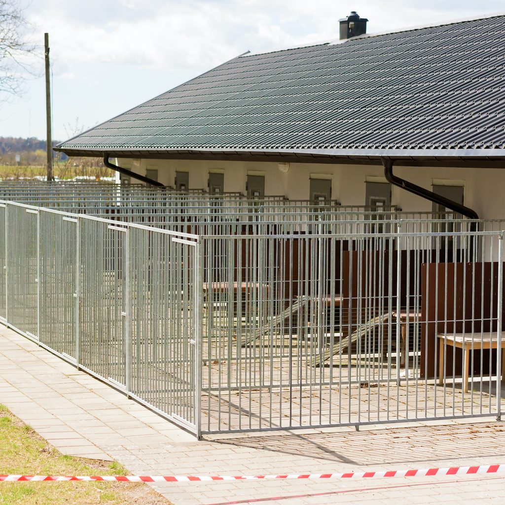 The outside of a dog boarding building with kennels