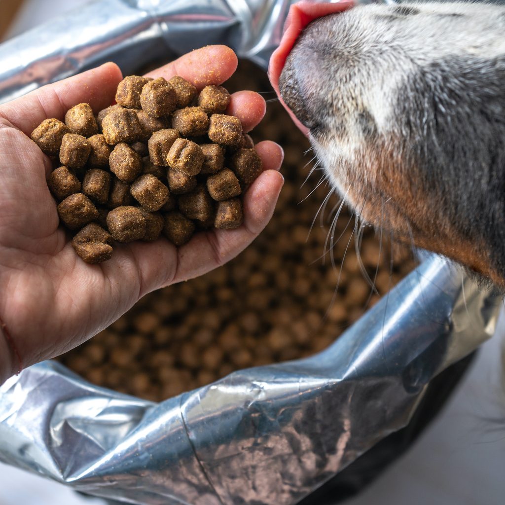 Someone scoops out a handful of dog food from a bag while a dog licks their lips