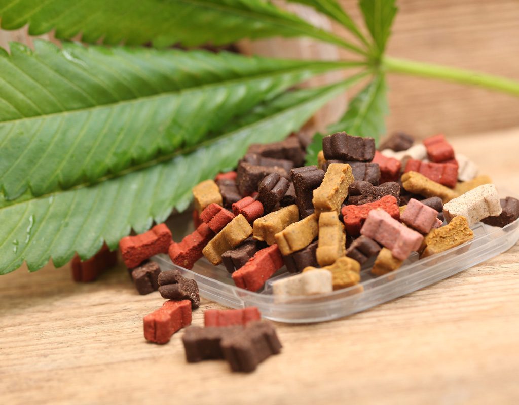 Hemp leaf laying beside dog treats.