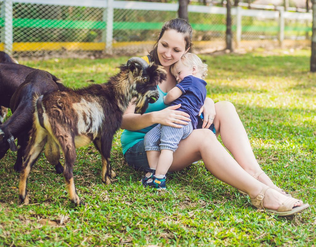 A mother and her baby visiting with goats on a farm.
