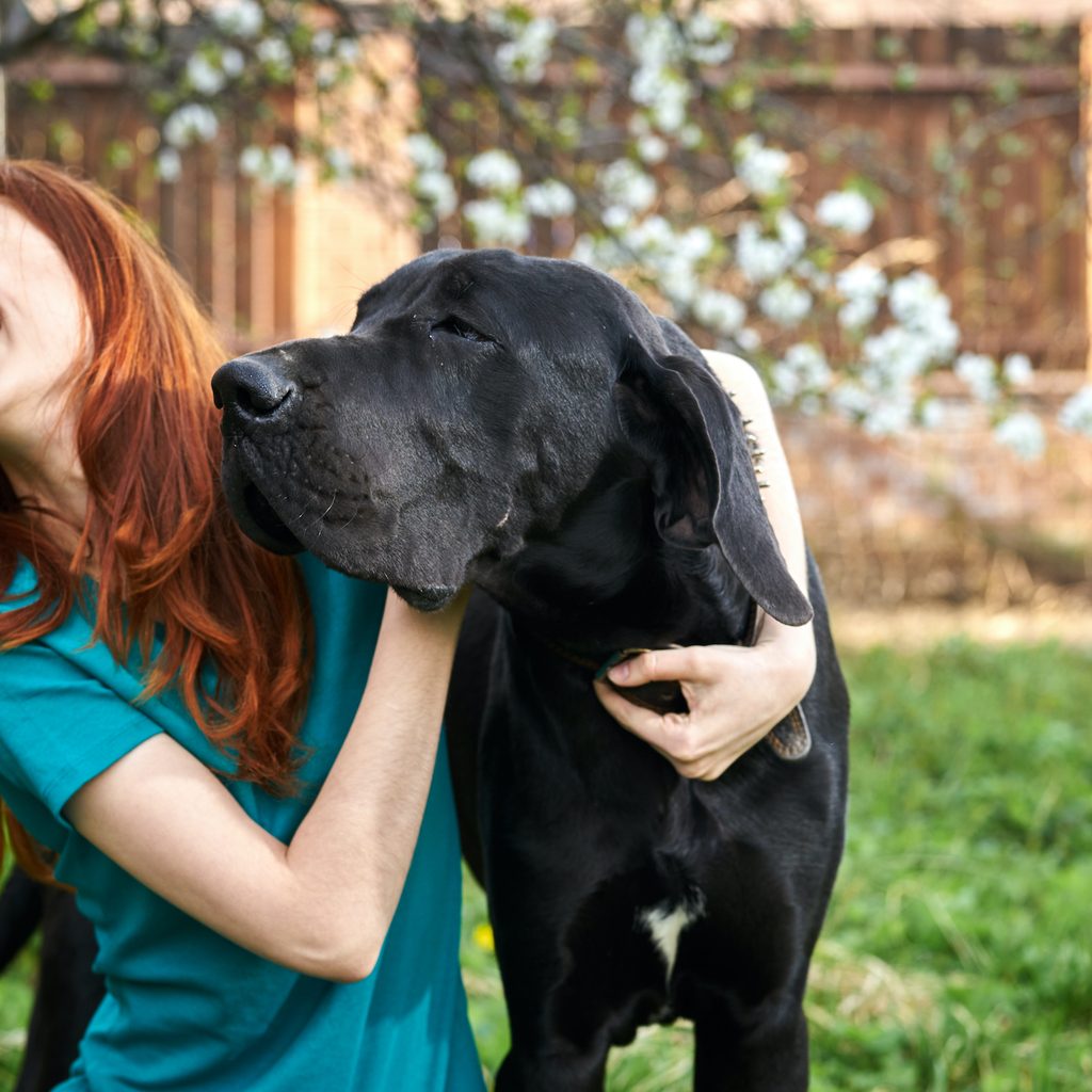 A red-haired woman hugs her Great Dane while sitting outdoors