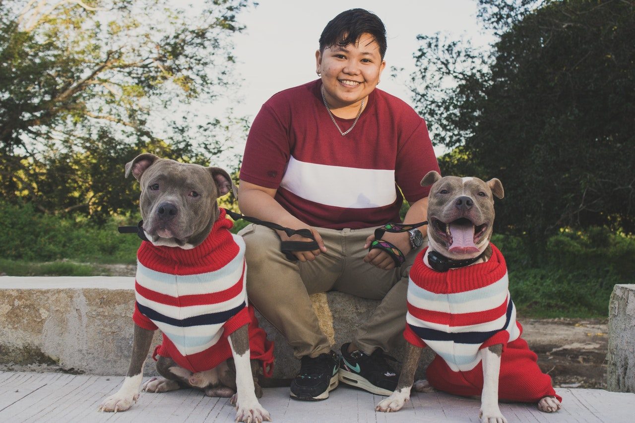 A woman sits with two leashed pit bulls wearing red and white sweaters.