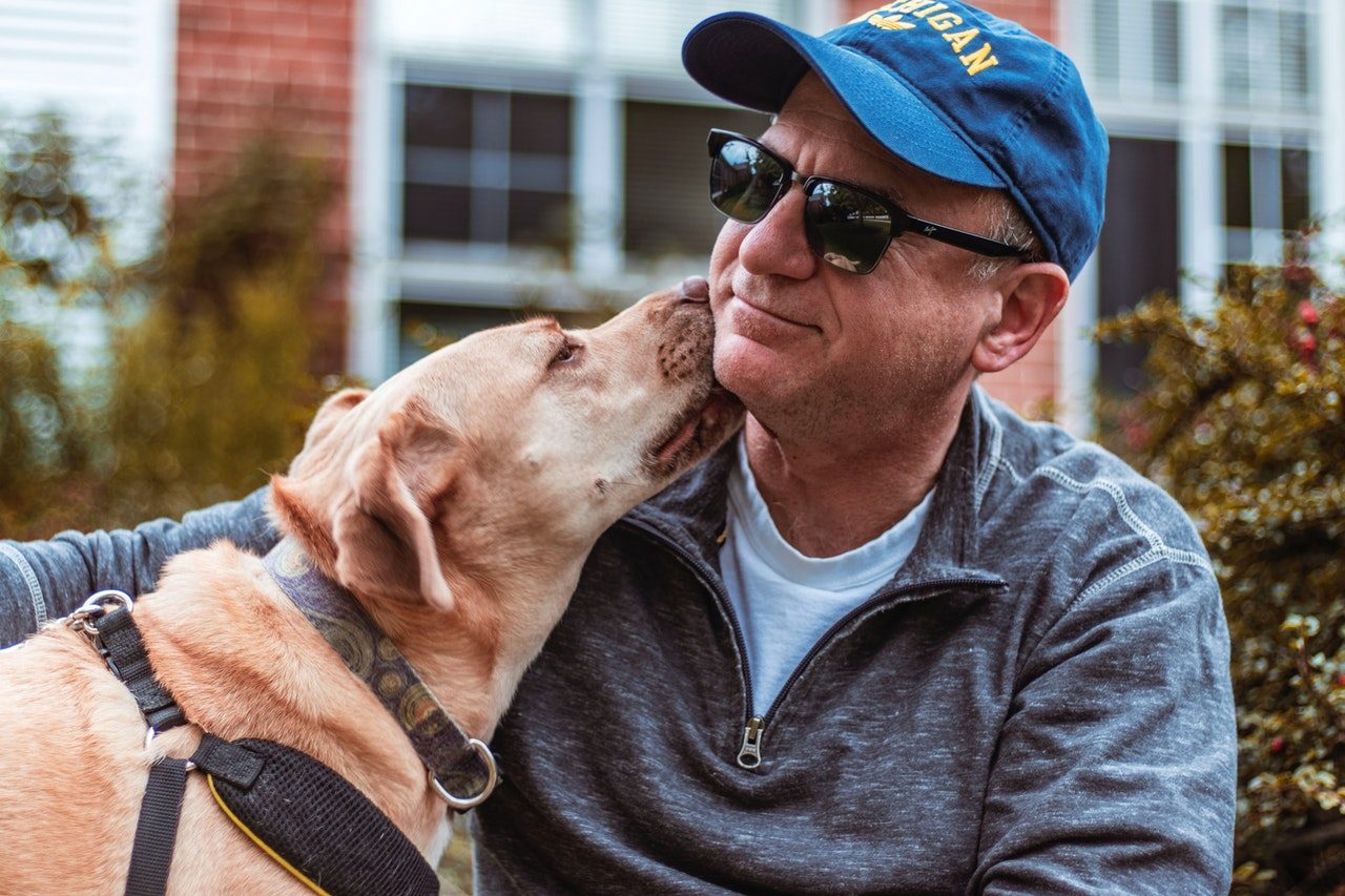 A yellow lab kisses a man's face.