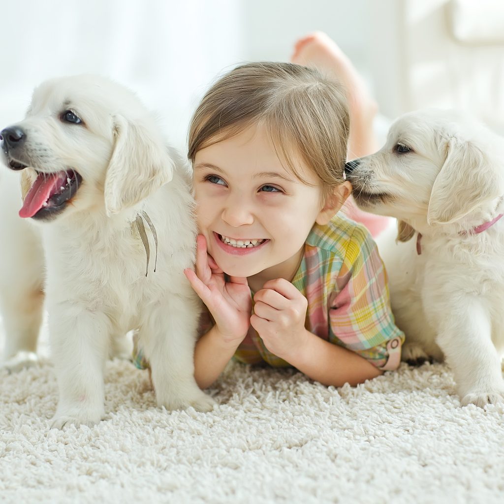 Girl with two puppies
