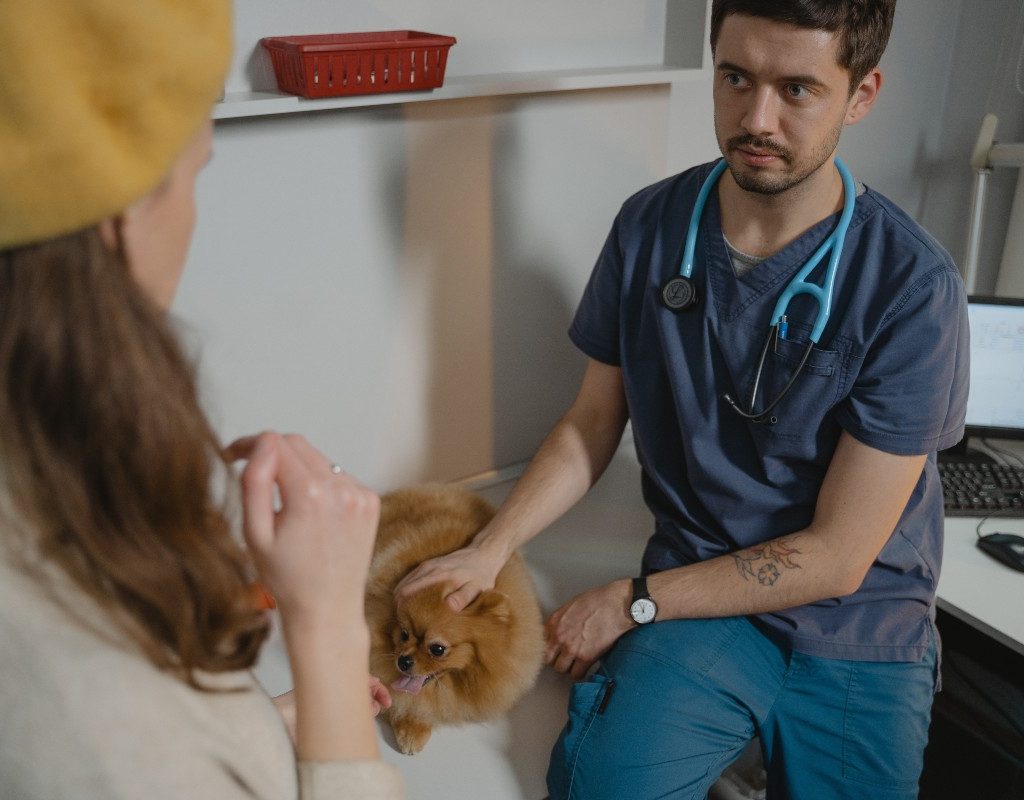 a woman in a dark yellow hat, a pomeranian and a vet