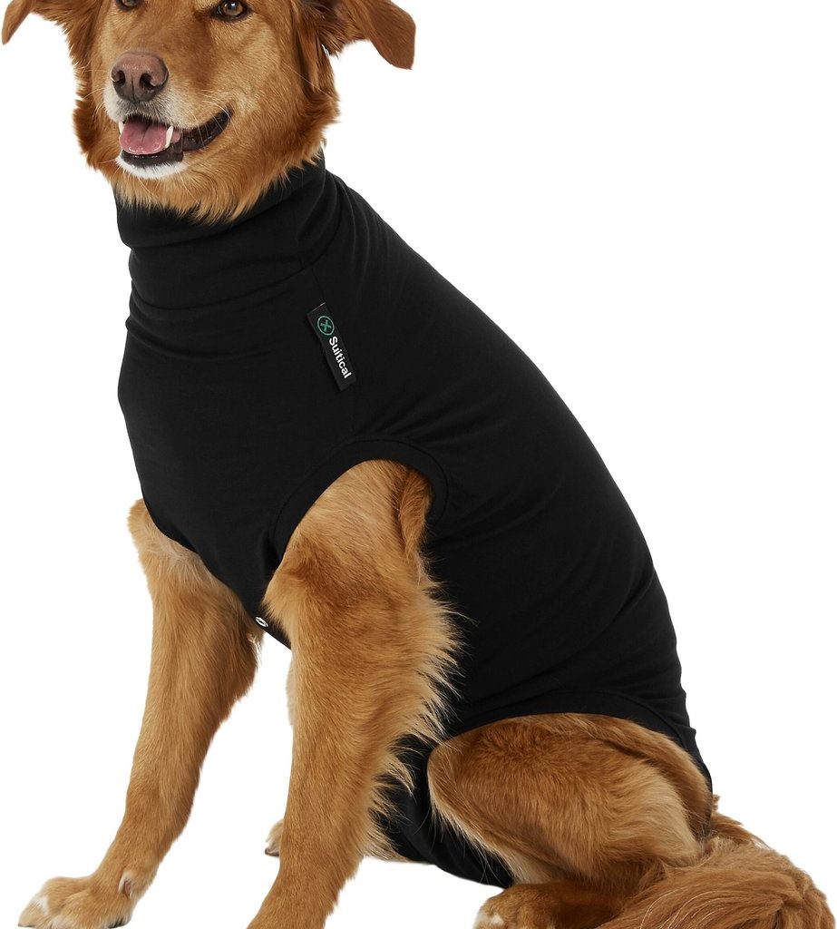 A tan dog wears a black recovery onesie against a solid white background.