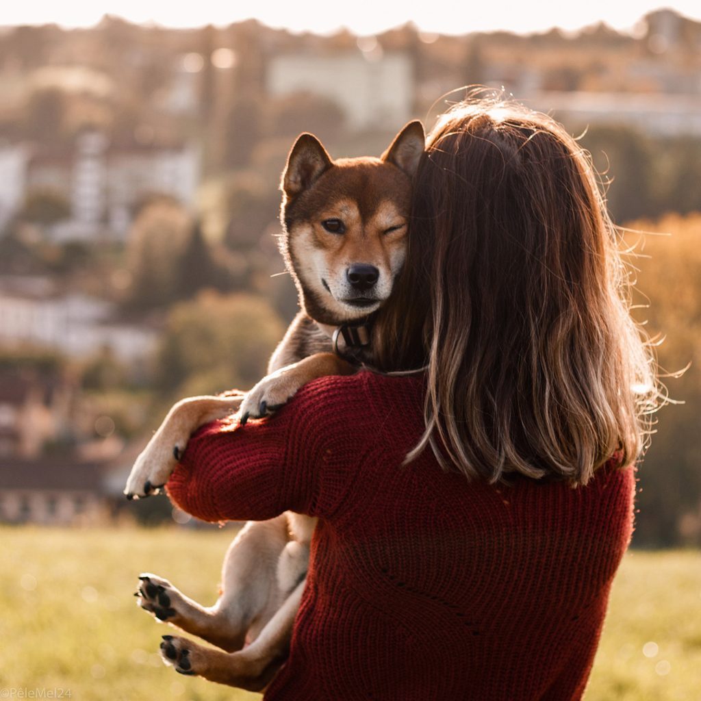 Woman hugging a dog