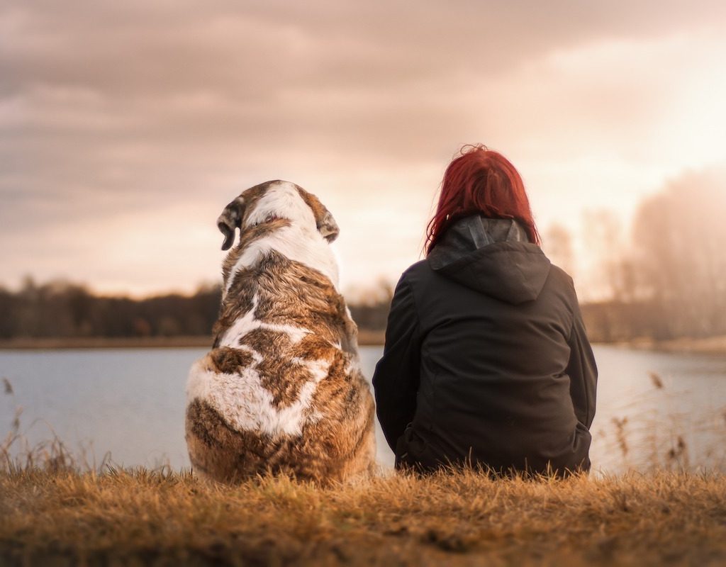 A person sits next to a dog by the water