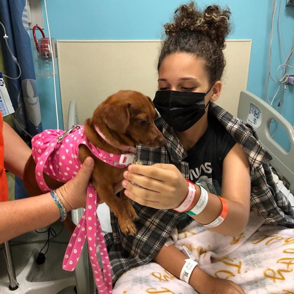 Therapy dog visits hospital patient.