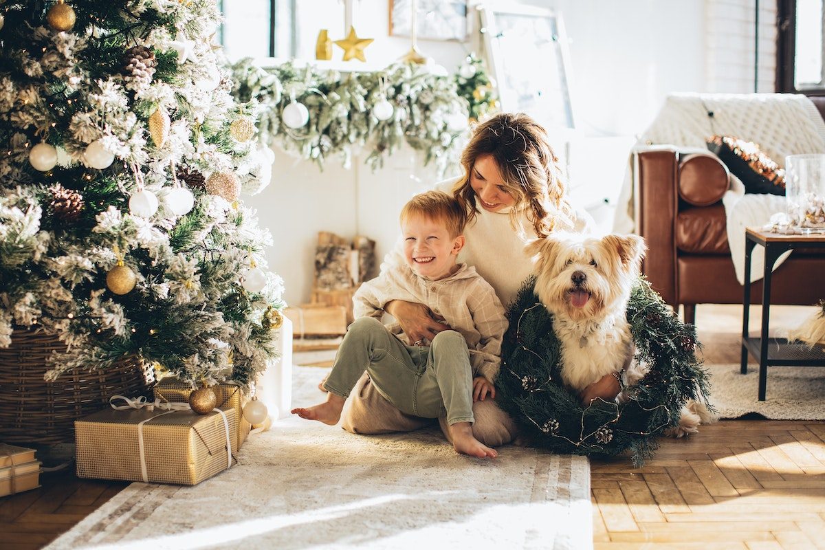 Dog wearing a wreath sits with his owners next to a Christmas tree