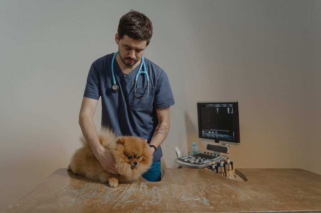 A vet with a dog