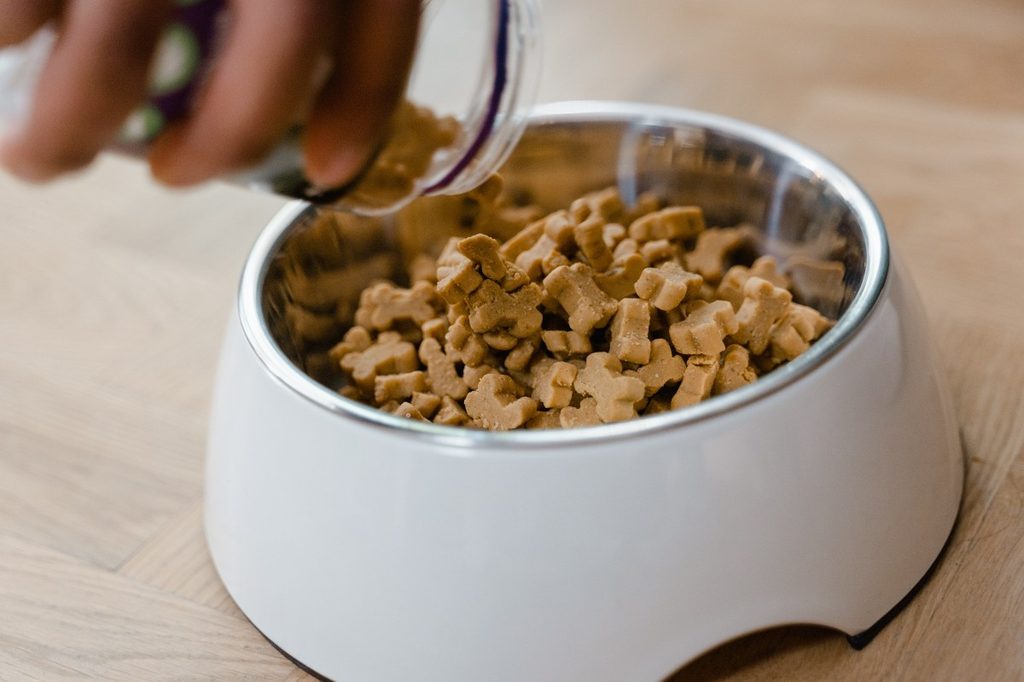A person pouring dog food into a dish