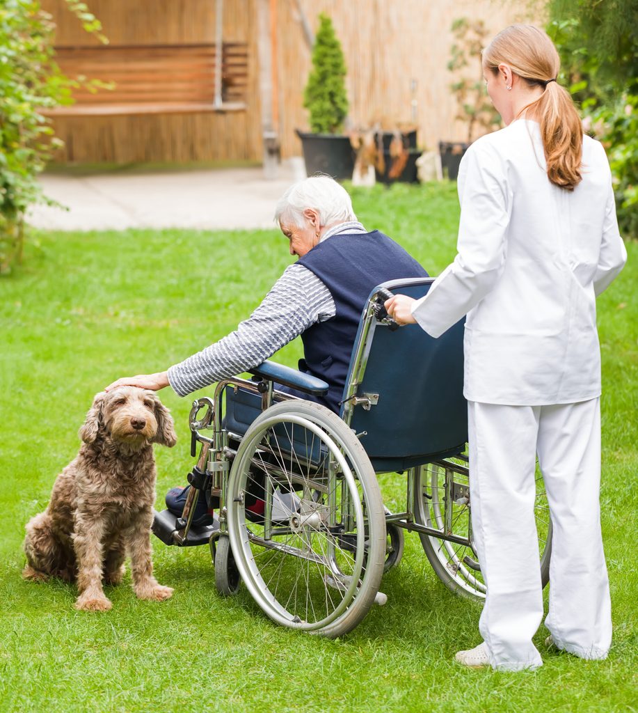 Elderly man petting a dog