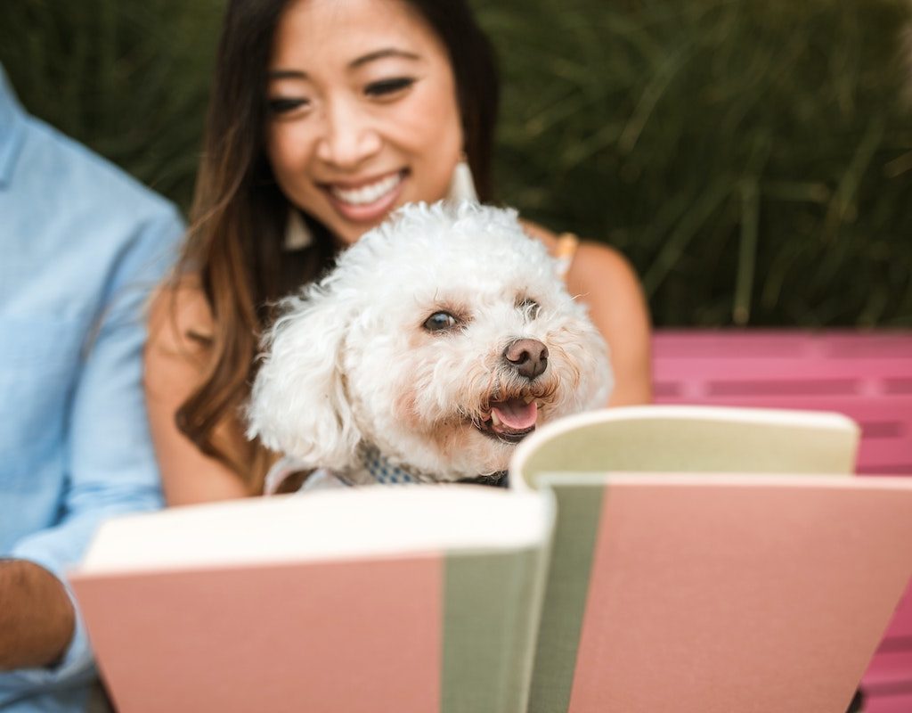 Woman reads a book with a dog on her lap